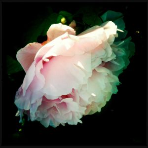 The Four Points are Thus Beheld