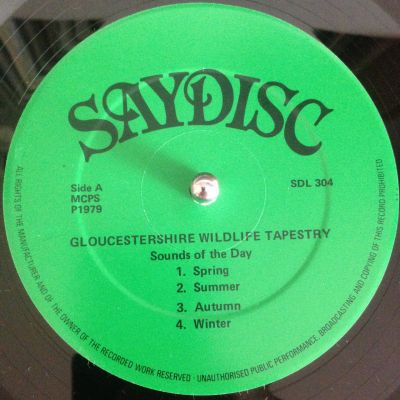 Shows - Wildlife Discotheque