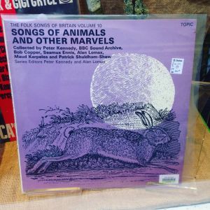Wildlife Discotheque