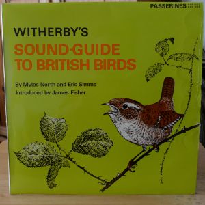 Wildlife Discotheque