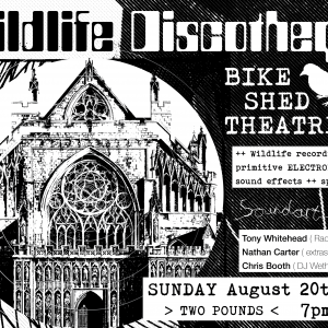 Wildlife Discotheque