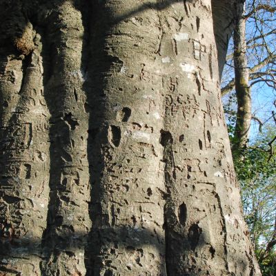 Fun, Fitness and Families - 