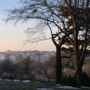 Stream Radio 