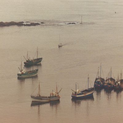 Shows - Estuary Tales